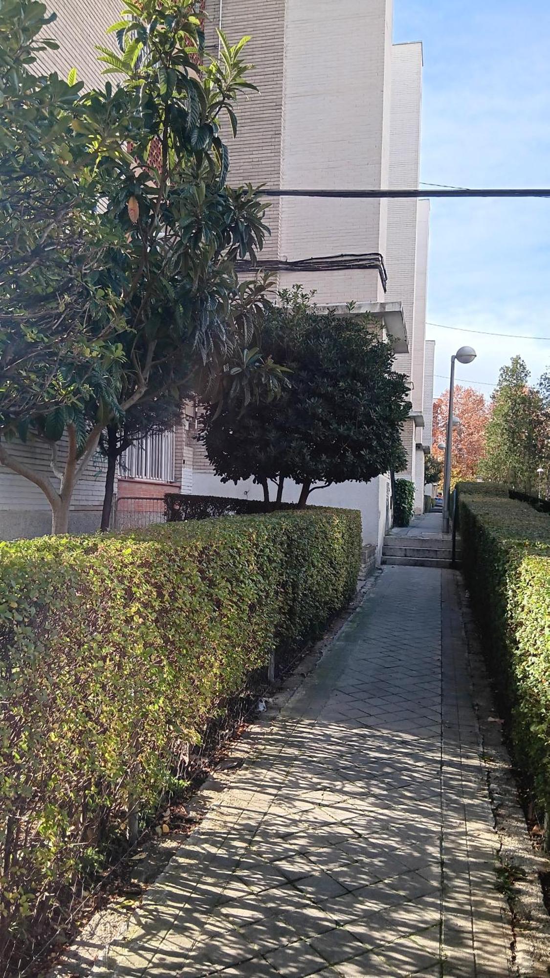 El Colmenar Habitaciones Madrid Exterior photo